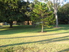 pville garden1.jpg